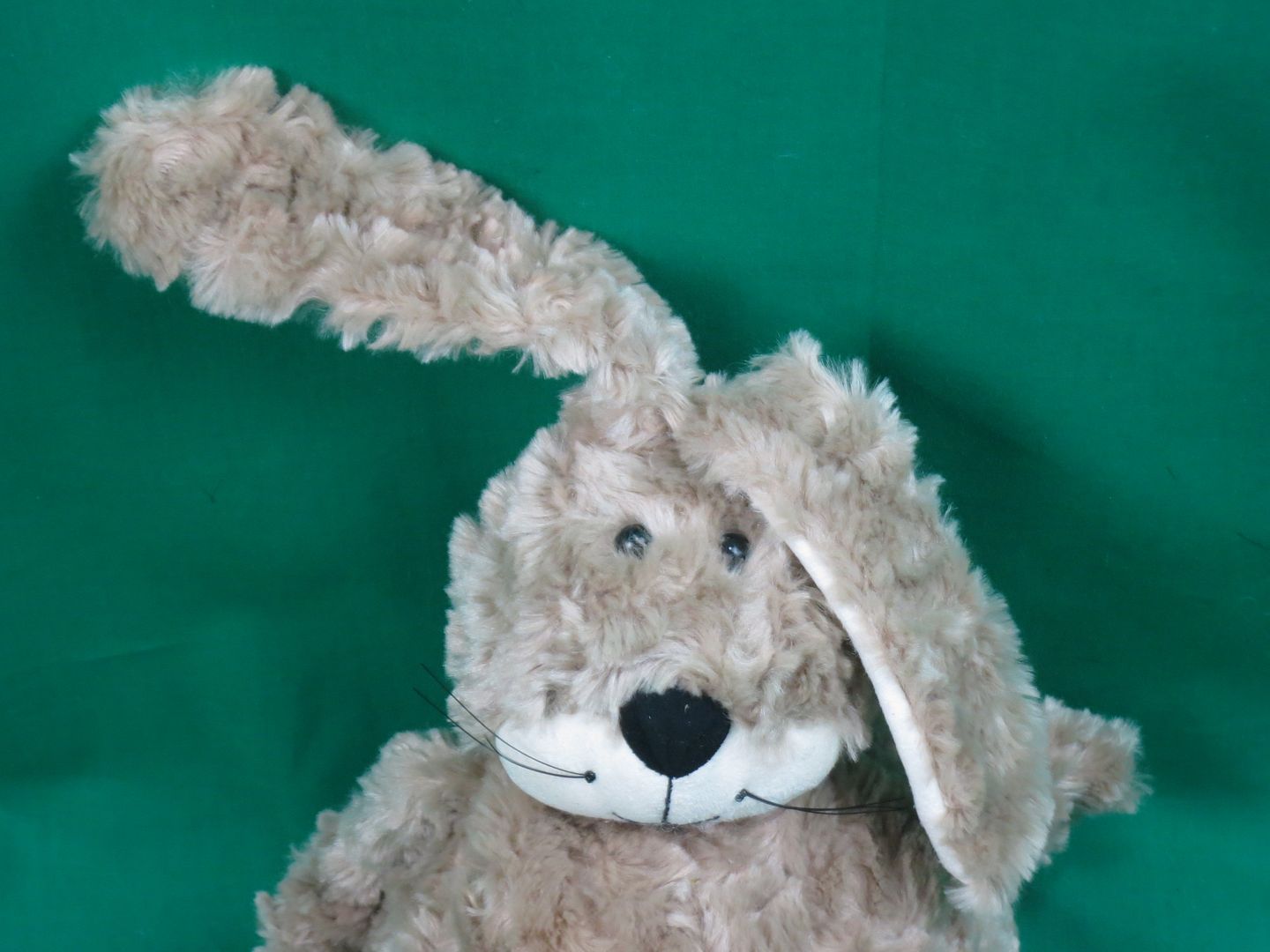 jellycat fluffy bunny